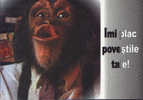 Romania-Postcard Unused- Monkey-Appreciation-" I Love Your Stories"! - Monkeys