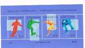 FINLANDIA (FINLAND) -  BF - 1991  SPORT INVERNALI  - NUOVO (MINT)** - Blocs-feuillets