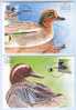 Israel MC - 1989, Michel/Philex No. : MCB.2 Ducks, - MNH - *** - Maximum Card - Maximum Cards