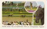 Florida Derby Day Gulfstream Park Horse Race Racing Track On C1960s(?) Vintage Postcard - Horse Show