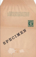 JAMAICA - VICTORIA - ENTIER POSTAL - BANDE JOURNAL SPECIMEN RARE - (WRAPPER For NEWSPAPERS) - Jamaïque (...-1961)