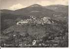 ROCCANTICA - PANORAMA CON MONTE PIZZUTO  - B/N VIAGGIATA 1981- - Rieti