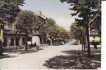 9  -   CARMAUX  (Tarn)  -    Avenue Albert Thomas  -   Coin Dulac - Carmaux