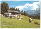 Ferienhaus Raschainas Lenzerheide 1996 - Lantsch/Lenz