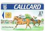 IRLANDA (IRELAND) - TELECOM EIREANN CHIP  - 1991 IRISH HORSE RACING   (GOLD CHIP, DAME LANE)    - USED  - RIF. 7853 - Paarden