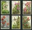 ● KENIA - 1983 - FIORI - N. 247 / 252  Usati - Cat. ? €  - Lotto 4 - Kenia (1963-...)