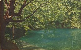 AK Blaubeuren Blautopf Farbenfoto-Naturaufnahme ~1920 #29 - Blaubeuren