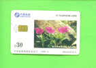 CHINA  -  Chip Phonecard As Scan - China