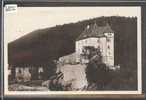 LE CHATEAU DE VALANGIN - TB - Valangin