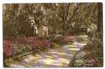 BELLINGRATH GARDENS-not Traveled - Mobile