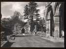 CPM Royaume Uni Dryburgh Abbey The Nave Of The Abbey Church La Nef De L'Abbatiale - Berwickshire