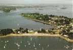 CPA-1960-56-ILE AU MOINES-VUE AERIENNE POINTE DU TRECH Et La PLAGE--TBE - Ile Aux Moines