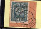 TRENTINO ALTO ADIGE 1918 SOPRASTAMPATO SURCHARGED 12 H USATO SU FRAMMENTO USED ON CHIP OBLITERE´ - Trentino