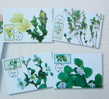 Maxi Cards Taiwan 2011 Alpine Flowers Stamps Flower Flora Plant - Maximumkaarten