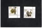 VATICANO - UNIF. 1443.1444  -   2007  250^ ANNIV. MUSEO CRISTIANO          - NUOVI (MINT) ** - Unused Stamps
