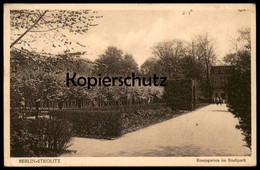 ALTE POSTKARTE BERLIN STEGLITZ ROSENGARTEN IM STADTPARK Rosenbeet Garden Blume Flower Fleur Flowers Rosen Rose Postcard - Steglitz