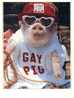 (126) Gay Pig - Joyeux Cochon - Pigs