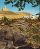 Egypt-Postcard Unused-Assouan-Tomb Of Aga Khan And The Villa Of The Beghum - 2/scans - Assuan