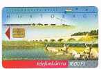 UNGHERIA (HUNGARY) - MATAV  (CHIP) - 2000  HORTOBAGY    - USED  - RIF. 3513 - Cows