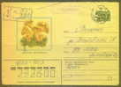 RUSSIA USSR Cover 0071 Postal History Mushrooms - Brieven En Documenten