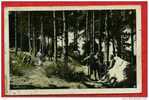 * LAC DE PALADRU CHARAVINES-Camping Au Bois D´Amour-1951(Carte Photo) - Charavines