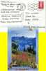 Postal,  LA LECHERE 1996, Francia, Post Card , - Brieven En Documenten