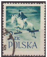 Polonia 1959 Scott 838 Sello º Caballos Equitacion Horsemanship Michel 1089 Yvert 955 Polska Stamps Timbre Pologne - Gebruikt