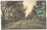 Algérie - Batna - Avenue De Biskra 1907 - Batna