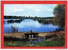 * VILLARS Les DOMBES-Un Etang Des Dombes-1971 - Villars-les-Dombes