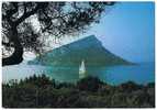 Italia Olbia Cartolina Animata Viaggiata Golfo Aranci Isola Figarolo - Olbia