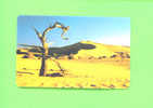 NAMIBIA - Chip Phonecard As Scan - Namibia