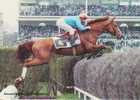 Auteuil,Paris,le Fameux Steeple Chaser Katko,Rail Ditch And Fence,sports,hippisme,cou Rses De Chevaux - Paardensport