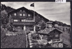 Riederalp ; Naturfreundehaus Lueg Ins Land Auf Der Sonnenterasse — ; Golmenegg 1960 M  (5527) - Riederalp