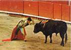 TOROS - Antonio Lomelin - Desplante - Scene De Corrida   (26210) - Stieren