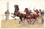 HARNESS RACE - SULKY / COURSE De TROT ATTELÉ - ILLUSTRATION SIGNÉE / ARTIST SIGNED : SCHOENPFLUG - 1909 (i-331) - Horse Show