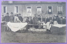 CPA 14 - CALVADOS - LA NORMANDIE 3. La Vie Normande - L´Exposition Des Petits Cochons (porcs,marché) GROS PLAN SUPERBE - Pigs