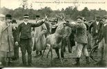 N°13813 -cpachasse à Courre En Forêt De Breteuil -la Présentation Du Cerf- - Chasse