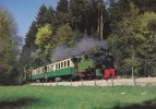 CARTE POSTALE  TRAIN - Chemins De Fer