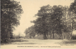 Neauphle Le Château Les Bois De Villiers Près Les Coulons - Neauphle Le Chateau