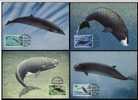 Faroes Foroyar 1990 WWF W.W.F. Northern Bottlenose Whale Maximum Cards Fauna Set X4 Marine Life Dolphin - Tarjetas – Máxima