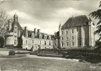 BONNES  - LE CHATEAU DU TOUFFOU  N° 41 BIS - Chateau De Touffou