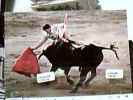 ESPANA CORRIDA TORERO TORO   MATADOR PAQUIRRI NATURAL CON LA DERECHA VB1980 DG7511 - Taureaux