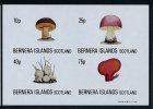 Bernera ** Série 1981 ND - Champignons (lot 2) (20 P41) - Fantasy Labels