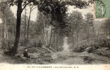 18111   Francia,    Bois  De  Clamart,  Une  Allee  Sous  Bois,  VG - Ile-de-France