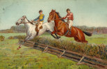 THEME EQUITATION CHEVAUX  SAUT DES HAIES CARTE GAUFFRE SUPERBE - Paardensport