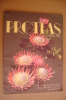 PAR/26 PROTEAS Nature´s Pride - Protea Colour Prints LTD South Africa/Proteacee/Erbario/botanica/Ill.di Derek Butcher - Gardening
