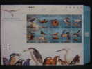 FDC 1991 Taiwan Stream Birds Stamps Bird Duck Kingfisher Fauna Resident Migratory Fish - Agua