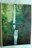 Multnomah Falls - Andere & Zonder Classificatie