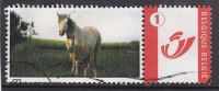 MIJN ZEGEL  Paard-cheval - Other & Unclassified