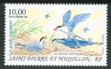 1995 Saint Pierre Et Miquelon Uccelli Birds Vogel Oiseux MNH** P 73- - Neufs